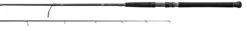 Daiwa -Daiwa Saltist Inshore SIN70MXS